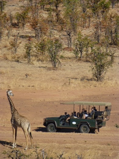 The park was busier than those in Malawi but not over run with jeeps like Kenya and Tanzania.