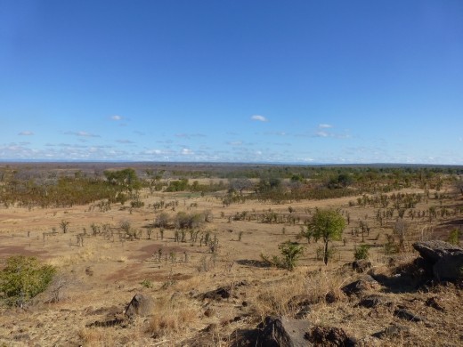 The scenery in the park is fabulous.