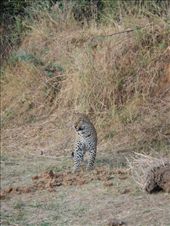 by steve_and_emma, Views[430]