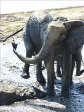 Bath time!: by steve_and_emma, Views[360]