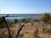 Looking across Chobe NP towards the Chobe river.: by steve_and_emma, Views[311]