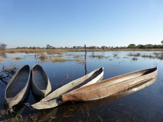 Mokoro, the traditional boats used in the Okavango Delta.