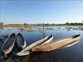 Mokoro, the traditional boats used in the Okavango Delta.: by steve_and_emma, Views[426]