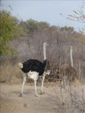 by steve_and_emma, Views[371]