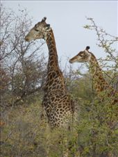 by steve_and_emma, Views[669]