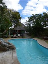 The lovely pool at our lodge in balule was way too cold for a dip, it being the southern hemisphere's winter!: by steve_and_emma, Views[398]