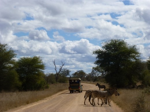 The roads in Kruger are much better than the highway in Uganda!
