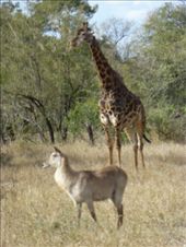 by steve_and_emma, Views[374]