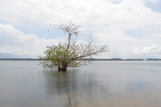 Entebbe is on a the shores of Lake Victoria so it is a nice peaceful getaway from noisy Kampala.