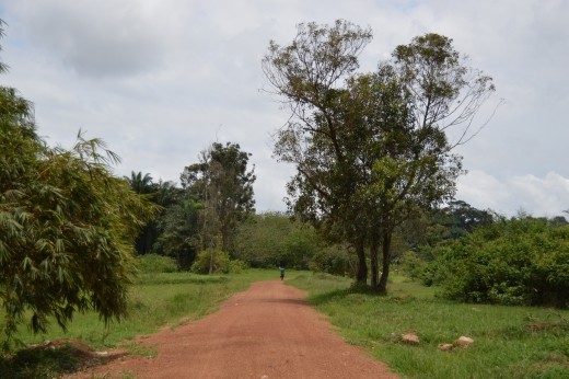The botanical gardens are a pleasant place for a stroll in Entebbe.