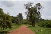 The botanical gardens are a pleasant place for a stroll in Entebbe.: by steve_and_emma, Views[510]