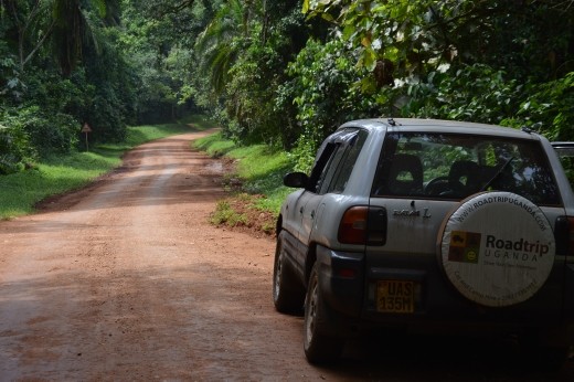 The road through Kabale Forest.