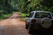 The road through Kabale Forest.: by steve_and_emma, Views[351]