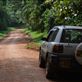 The road through Kabale Forest. Views[203]