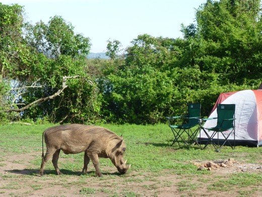 Our campsite at Lake Mburu.