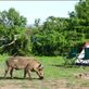 Our campsite at Lake Mburu. Views[153]