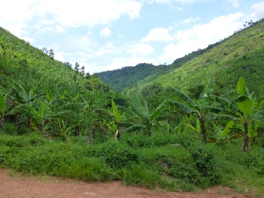 The back roads to Ishasha.