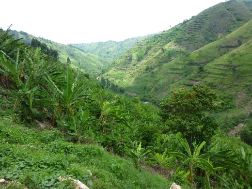 The far south west of Uganda has to be the prettiest. 