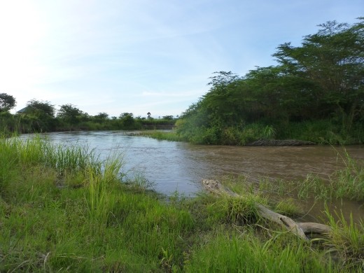 Yes there is a river at @ the river campsite.