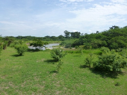 @ the river is a lovely spot.