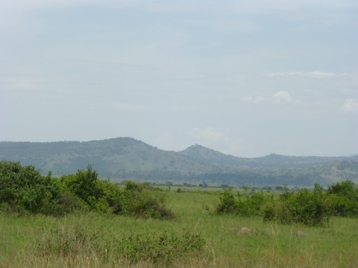 There is snow on them there hills - apparently. We will need to get a bit closer to confirm this. The magnificent Rwenzori mountains.
