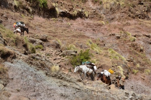 We had some mules to do the hard work on the trek!