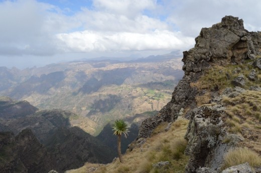 Oh look ! Another shabby view.