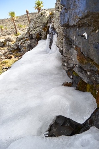 'There won't be snow in Africa this Christmas', not so Mr Geldof.
