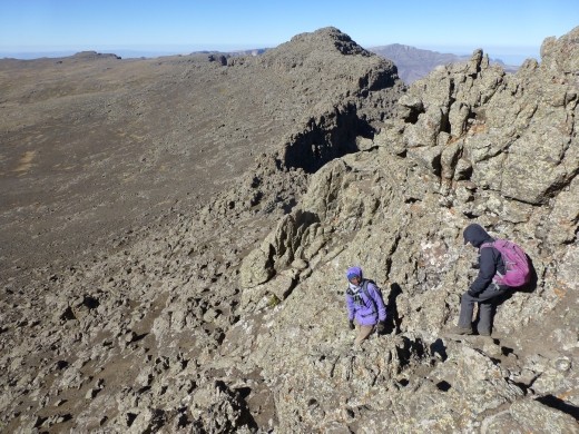 The rocky outcrop at the top.