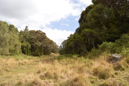 We went for a short walk around the park HQ.