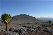 The Sanetti Plateau is located at an elevation of 3500 -4500m.: by steve_and_emma, Views[388]