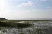 Lake Hawassa was a really clam and peaceful place to stop off.: by steve_and_emma, Views[387]
