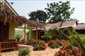 The rooms at The Source of the Smile are really nice and ok value for Jinja. Don't think about going to Serjios !: by steve_and_emma, Views[325]