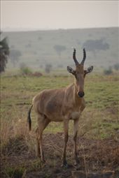 by steve_and_emma, Views[321]