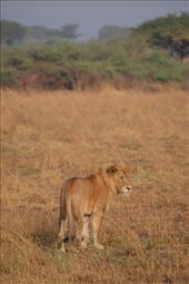 by steve_and_emma, Views[304]