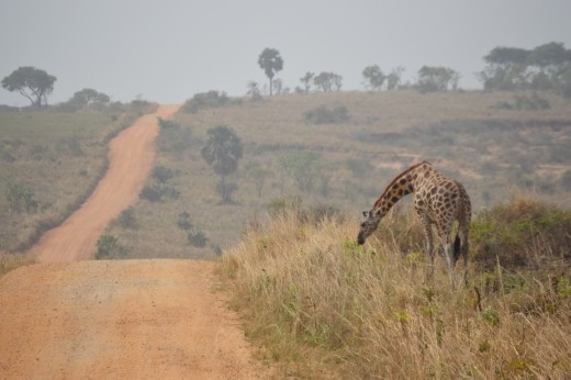 Driving back to the lodge.