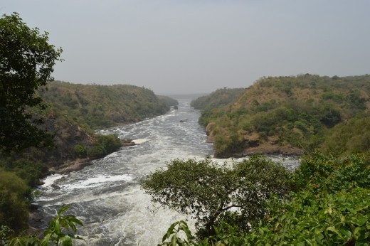 The view from the top of the falls.