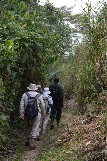 Can't believe we got Brian trekking in a jungle !