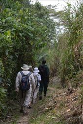 Can't believe we got Brian trekking in a jungle !: by steve_and_emma, Views[265]