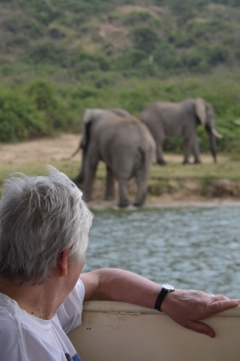 Joan watching elephants on the Kazinga Channel launch trip.