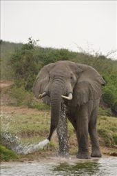 by steve_and_emma, Views[199]