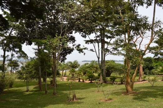 The gardens at lagoon Resort.