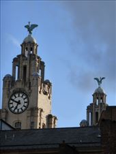 Those Liver birds won't be flying off any time soon !: by steve_and_emma, Views[298]