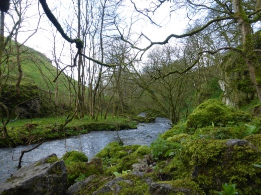A walk in the woods, on the way to Janette's Foss.