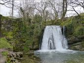 Janette's Foss.: by steve_and_emma, Views[371]