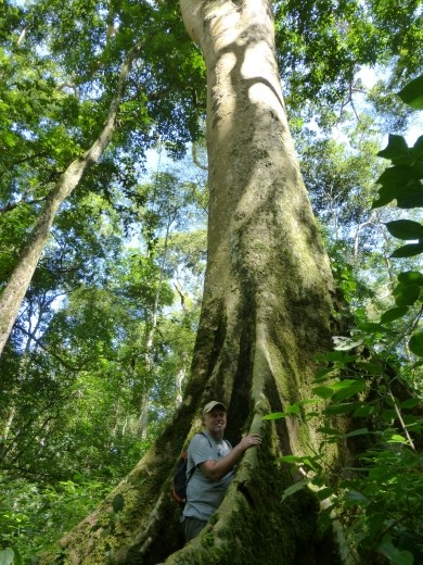 Steve the tree-hugger! 