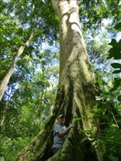 Steve the tree-hugger! : by steve_and_emma, Views[448]