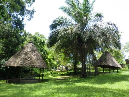 The campsite at Mpanga.