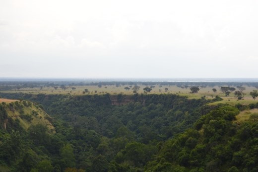 The Kyambura Gorge, where we tracked the chimps in QENP.
