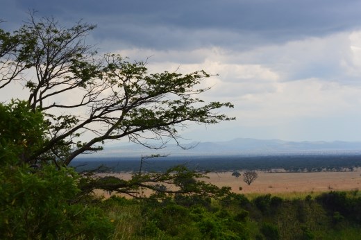 The clouds were gathering as we set off in search of chimps.